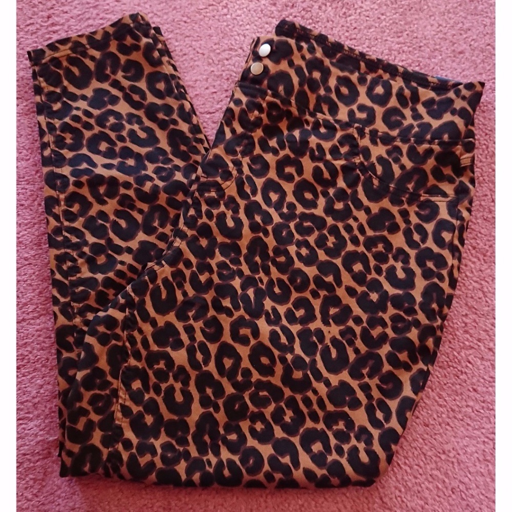 Soft Terra & Sky Leopard Print Jeggings